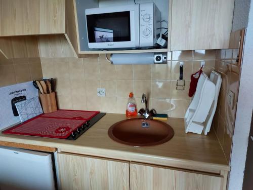 Studio chaleureux Thollon-les-Mémises 28 m², vue lac