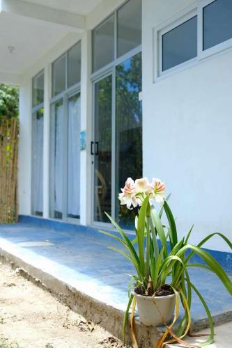 Casa Escondida Hostal in Santa Cruz la Laguna