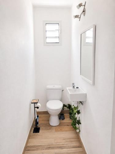 Bathroom, Le Cachiment in Le Moule