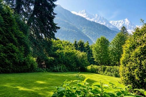Chalet Chamonix Vue Mont-Blanc Jardin 8 pers