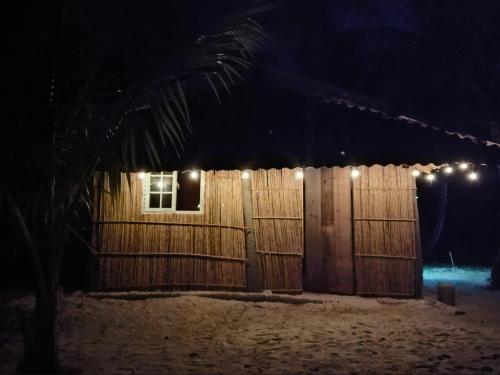 amazing gunayar in El Porvenir
