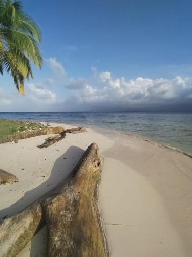 amazing gunayar in El Porvenir