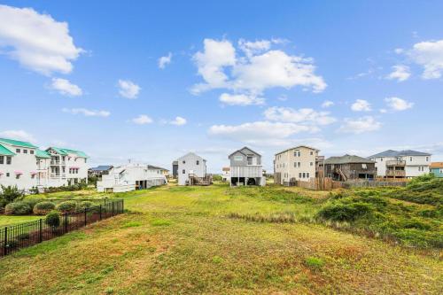 Herons Return in Kitty Hawk (NC)