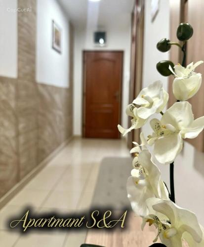 S&A Apartman