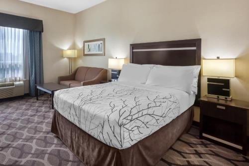 1 queen bed