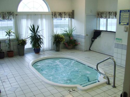 Gyógyfürdő, Ponderosa Motor Inn in Golden (BC)