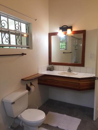 Soufriere Two Falls Hideaway in Anse La Raye
