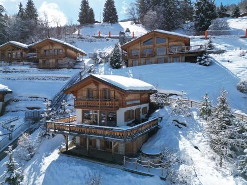 Chalet Sapin Argente
