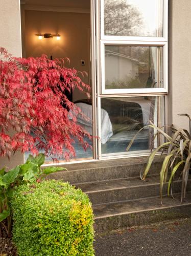 B&B@The Redwoods - image 2