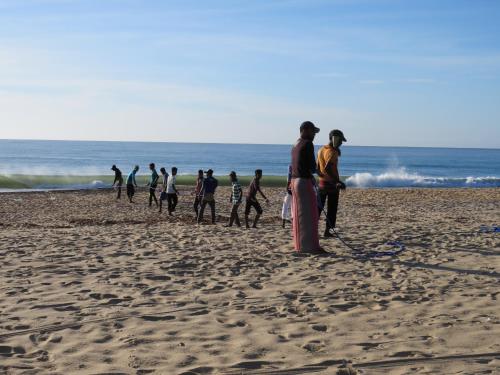 Beach, The Long Hostel in Arugam Bay