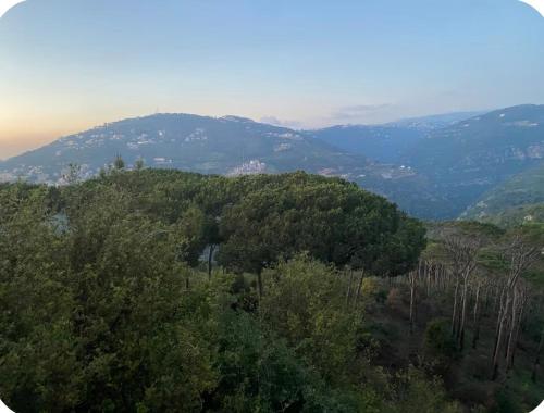 Panoramic Mountain View Araya 1 BR Apartment in Aley