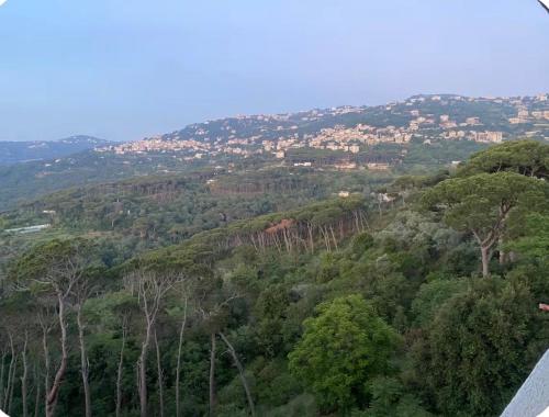 Panoramic Mountain View Araya 1 BR Apartment in Aley