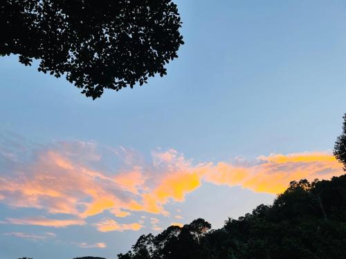 Ella Cloud View Homestay - image 2
