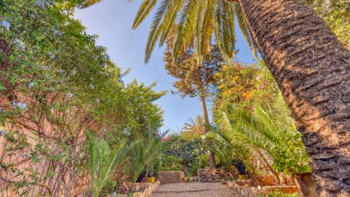 Vrt, Signature Agadir - Villa Luxe - 4/6 PX in Swiss City