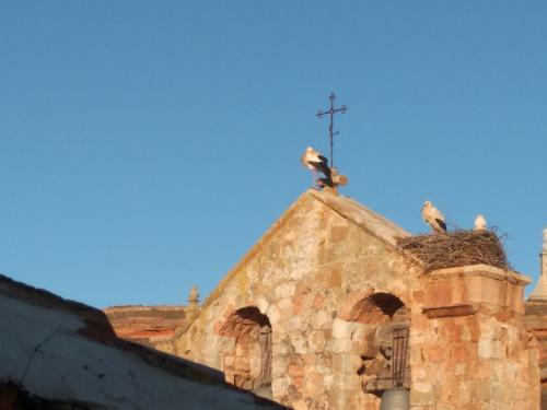 Apartamentos La Alborada Medieval