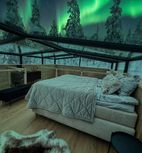 Levi Lapland Luxury Igloos C