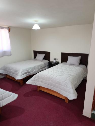 HOSTAL ANDINA - Chivay