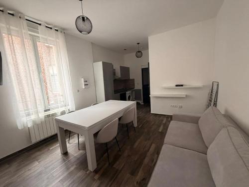 Appartement Valenciennes 45 m², billard - Location saisonnière - Valenciennes