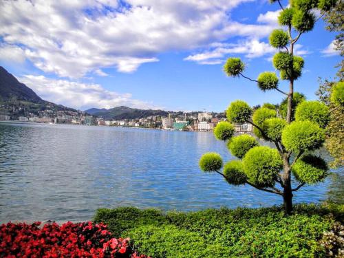 Bližnja okolica, Appartement Novotna in Ponte Tresa