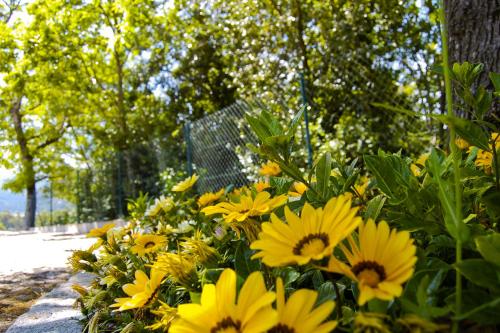 Casa do Carvalho - Ponte de Lima Casa do Carvalho - Ponte de Lima