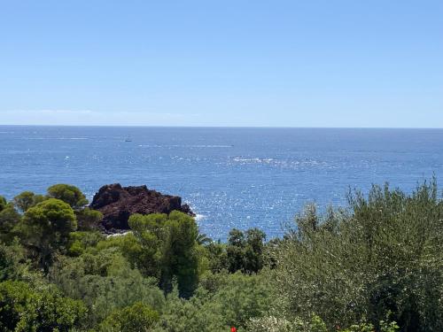 Paradis bleu