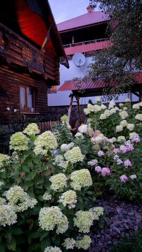 Kotedzh Smereka
