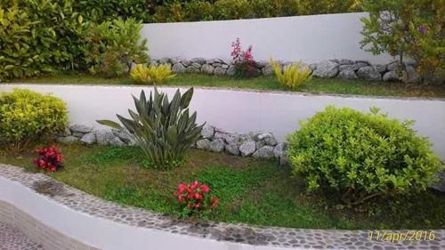 B&B Il Quadrifoglio Tropea