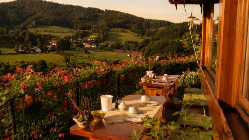 Transylvania House Glottertal in Glottertal