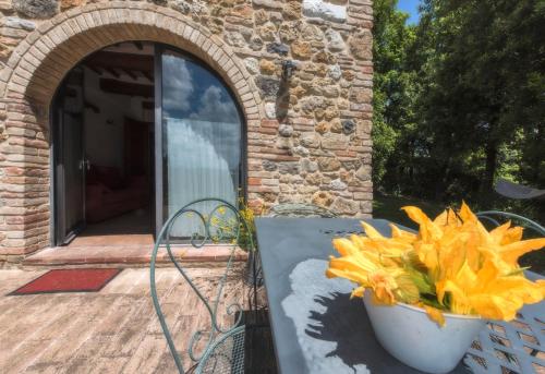 tuin, Agriturismo La Collina Dei Lecci in San Donato