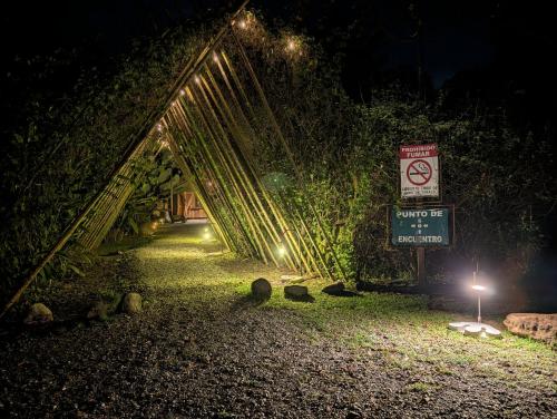 Danta Corcovado Lodge in La Palma