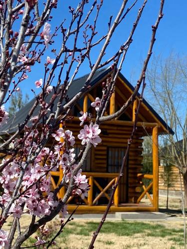 Finca La Vilina - Tiny House