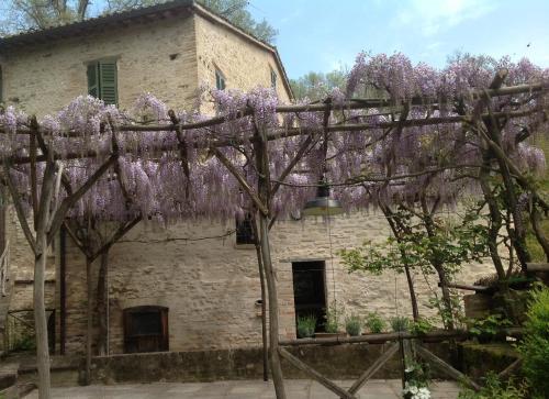 Mulino Della Ricavata 3