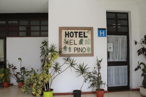 Hotel el Pino