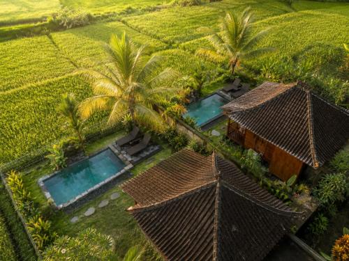 Villa Kayu Eco Lodge 3