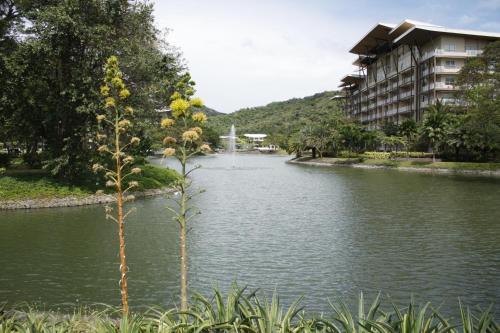 Unit 507 Pico De Loro