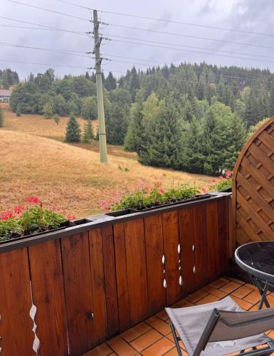 Landgasthaus Gemsennest in Feldberg ( Baden Wuerttemberg )