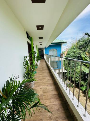 Vaade, Jungle Eco Mansion in Hatikhuli