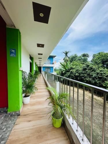 Vaade, Jungle Eco Mansion in Hatikhuli