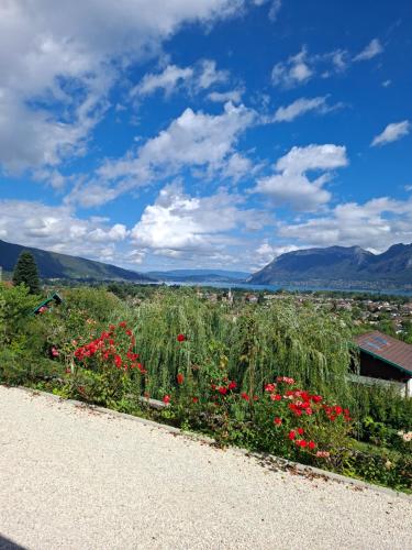 La Soldanelle vue lac et montagnes