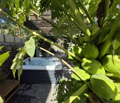 Hacienda de las Indias Room Type - Double Room with Private Bathroom