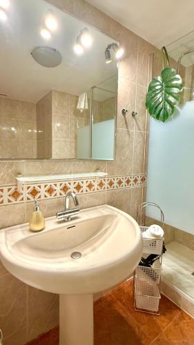 La Castellana - image 5