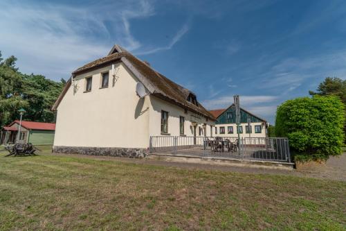 Schwalbennest 4 in Ummanz