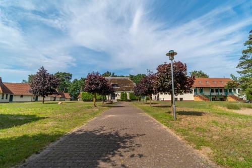 Schwalbennest 4 in Ummanz