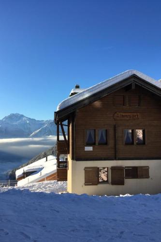 Apartment Almenrausch 1- OG Süd-Ost Appartement-Fewo- Bad- WC by Interhome
