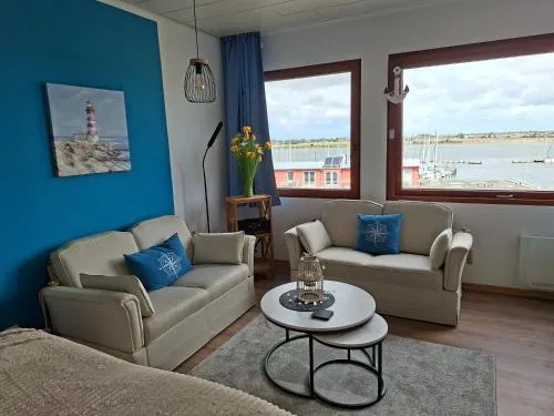 Seeschwalbe in Burgtiefe auf Fehmarn , Deutschland