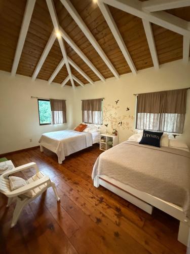 La Casa de Pucha Surf History & Tropical Stay in Pedasi