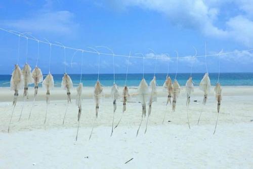 Mia's Homestay in Quan Lan Island