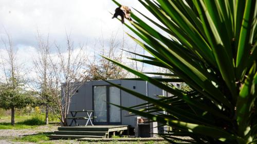 . Cabañas Tinycolchagua cl