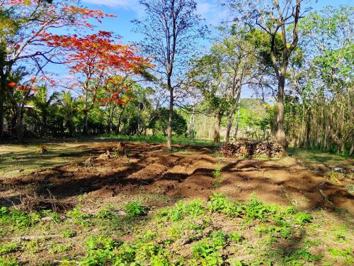 Finca Cazzanica in Jinotepe