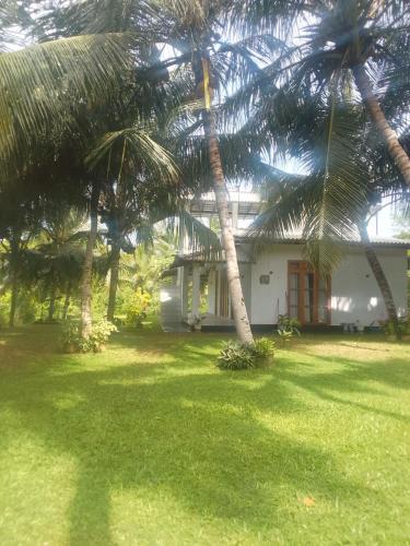 Jangal villa - image 2
